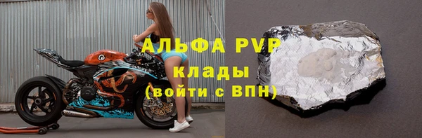 СК Медвежьегорск