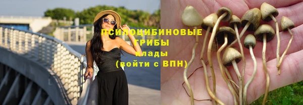 СК Медвежьегорск