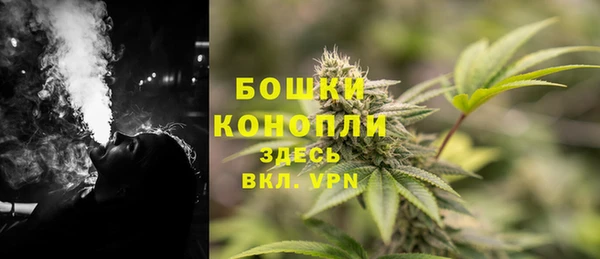стафф Мегион