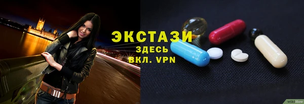 СК Медвежьегорск