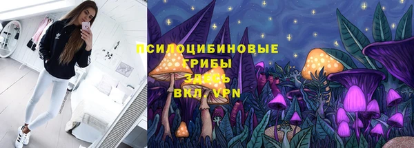 СК Медвежьегорск