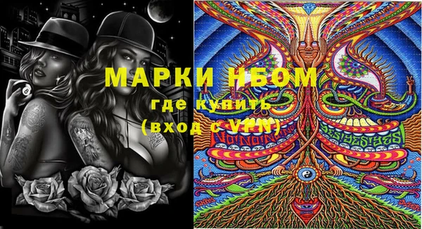 крисы Медногорск