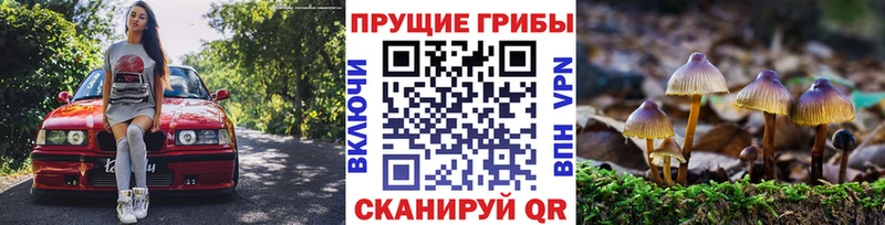 Галлюциногенные грибы ЛСД Купить где Сольвычегодск
